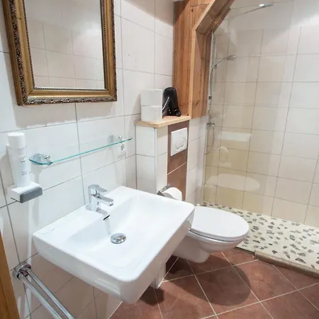 Wiesengruen By Interhome Apartment Pfarrwerfen