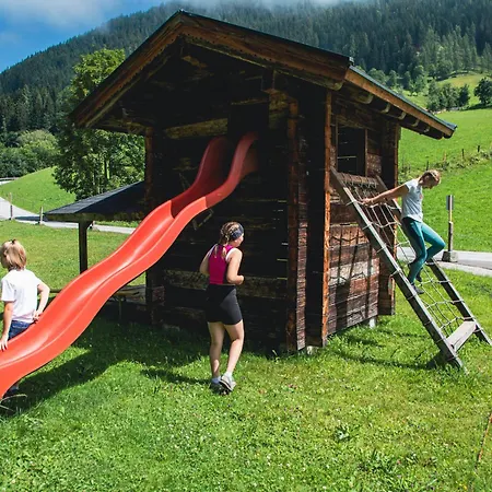 Wiesengruen By Interhome Pfarrwerfen