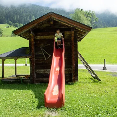 Wiesengruen By Interhome Apartment Pfarrwerfen